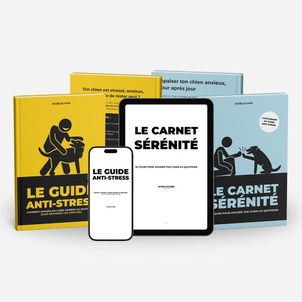 Pack Sérénité – Guide Anti-stress + Carnet Sérénité pour Apaiser Ton Chien au Quotidien (PDF)