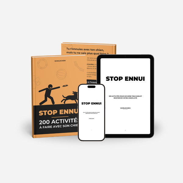 STOP ENNUI - 200 Activités à Faire Avec Son Chien [Format Numérique]