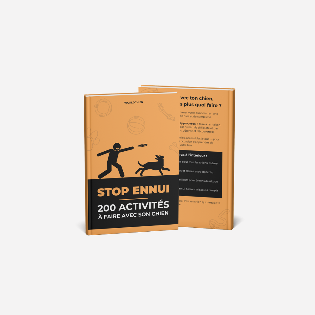 STOP ENNUI - 200 Activités à Faire Avec Son Chien [Format Broché]